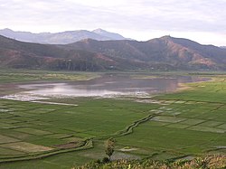 Wet season view of flooded verdant ricefields and Lake Seloi