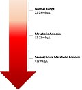 Thumbnail for Metabolic acidosis