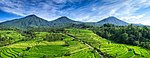 Panoramic image of a mountainous greenery