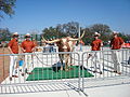 Bevo XIV with his four Texas Silver Spurs Handlers at a baseball game