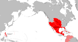 A map of the territories of the Viceroyalty of New Spain, at its zenith in 1795