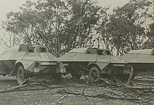 Several armoured cars parked amidst a bush clearing