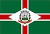 Flag of Murutinga do Sul