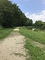 Beginning of the Carl Chiles Walk Path near Lock 13 and Memorial Park in St. Marys. This path runs along the Miami-Erie Canal.
