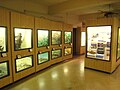 The Michigan Wildlife Gallery in the Alexander Ruthven Museums Building