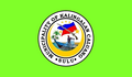 Flag of Kalingalan Caluang