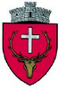Coat of arms of Dorna Candrenilor
