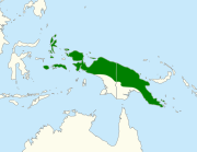 Map of New Guinea with green shading showing the great cuckoo-dove's range