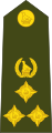 Brigadier (Zimbabwe National Army)[28]