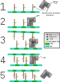 Diagram depicting cross-linking of bacterial cell walls by penicillin binding proteins.