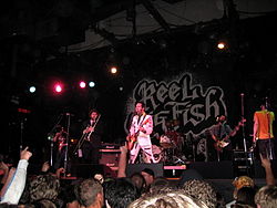Reel Big Fish performing at The Catalyst in Santa Cruz, California on March 27, 2008.
