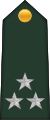 Général de division (Central African Ground Forces)