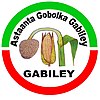 Official seal of Gabiley