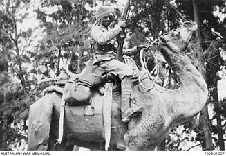 Indian cameleer with full equipment