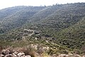 Valley to the south of Tur Shimon