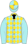 Pale blue and yellow diamonds, pale blue sleeves, quartered cap