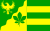 Flag of Dingen, Dithmarschen