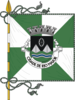 Flag of Rio Maior