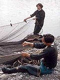 Net fishing on the Quileute reservation