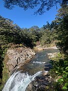 Whakapapanui stream above Tawhai Falls