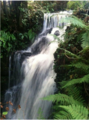 Waterfall at Newhall to the Lake