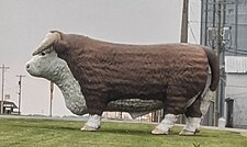 Since the 1970s, this bull statue has been a landmark at Gilboa