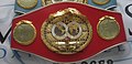 IBF championship belt
