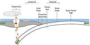 Trench fill sedimentary basin in the context of a convergent plate boundary