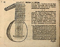 Tuning the lute, fretboard