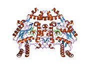 1foj: BOVINE ENDOTHELIAL NITRIC OXIDE SYNTHASE HEME DOMAIN COMPLEXED WITH 7-NITROINDAZOLE-2-CARBOXAMIDINE (H4B PRESENT)