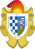 Coat of arms of San Juan