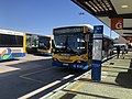 A Volgren body Scania L94UB in service with Brisbane Transport at the Garden City Interchange after completing the 590 service from Toombul.