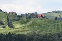 South Styrian vineyards
