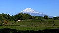 静岡市CMロケ地で有名な富士山と茶畑