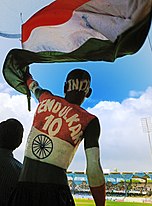 A cricket fan in Chennai.