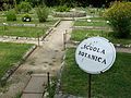 A Linnaean garden in which the plants follow the order in Systema Naturae