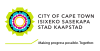 Flag of City of Cape Town