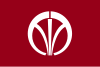 Flag of Iizuka