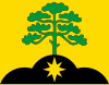 Flag of Mustamäe