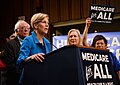 Image 10Elizabeth Warren and Bernie Sanders campaigning for extended US Medicare coverage in 2017. (from Health politics)