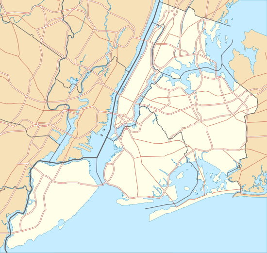 Sports in the New York metropolitan area is located in New York City
