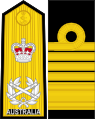Admiral of the fleet (Royal Australian Navy)[4]