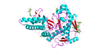 Structure of HYAL-1