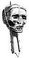 Drawing of Oliver Cromwell's head on a spike