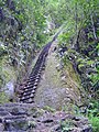 The largest of the steep wooden ladders on the trek to the summit of Putucusi, shown in 2007.