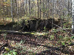 Ruins and crumbling concrete foundation of the old Fitger Hotel in Manganese, October 2016