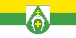 Flag of Klichaw District