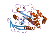 2i75: Crystal Structure of Human Protein Tyrosine Phosphatase N4 (PTPN4)