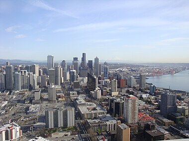 View of downtown from the observation deck