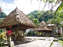 The raised bale houses of the Ifugao people, with capped house posts[181]